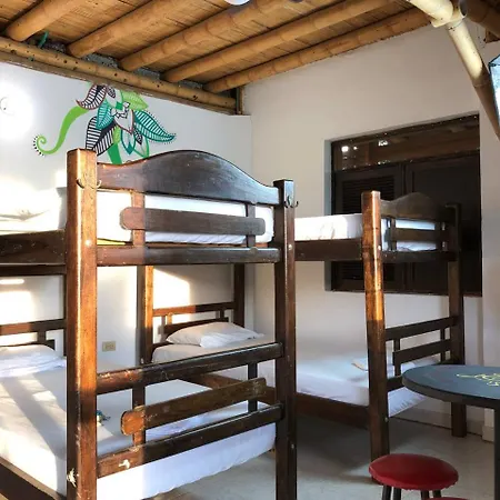 La Tortuga Hostel-2